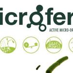 Microferm (1)